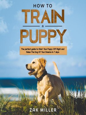 cover image of How to Train a Puppy